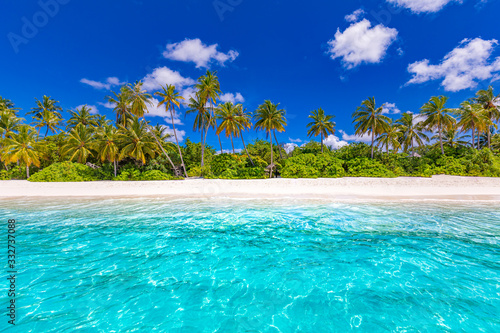 Fototapeta Naklejka Na Ścianę i Meble -  Tranquil tropical beach and sea in Maldives island with luxury water bungalows, villas under coconut palm tree and blue sky background. Perfect summer landscape, tropical island nature
