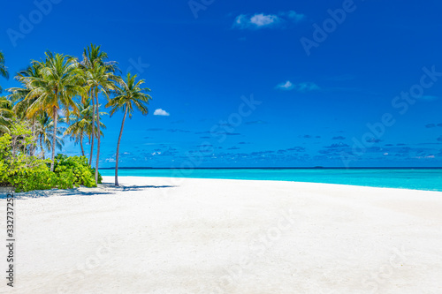 Fototapeta Naklejka Na Ścianę i Meble -  Summer beach landscape. Tropical island view, palm trees and amazing blue sea. Amazing beach scenery, white sand, exotic travel destination. Maldives beach landscape, idyllic landscape