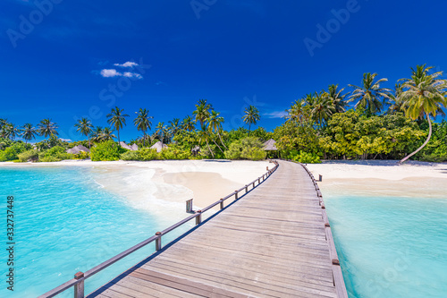 Amazing tropical landscape  beach scenery  long jetty into paradise island. Summer beach view  palm trees on white sandy beach. Tranquil tropical nature