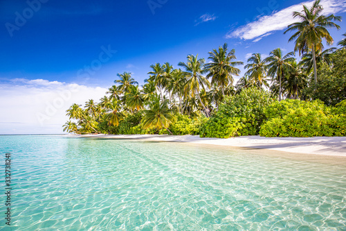 Tropical beach landscape. Summer island vacation and travel background. Exotic scenery with palm trees over amazing blue sea lagoon. Colorful nature landscape