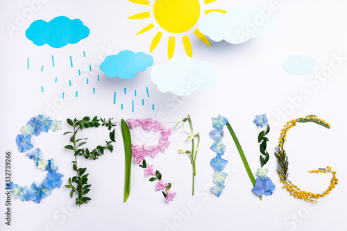 Fototapeta Naklejka Na Ścianę i Meble -  Word spring made of flowers and herbs on white background. Spring creative floral composition. Springtime, weather, craft concept. Flat lay, top view