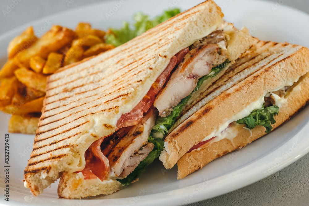 Plate with two chicken and bacon club sandwiches with fries and vegetables on a white plate on a concrete background. Plate with two chicken and bacon club sandwiches with fries and vegetables on a white plate on a concrete background.
