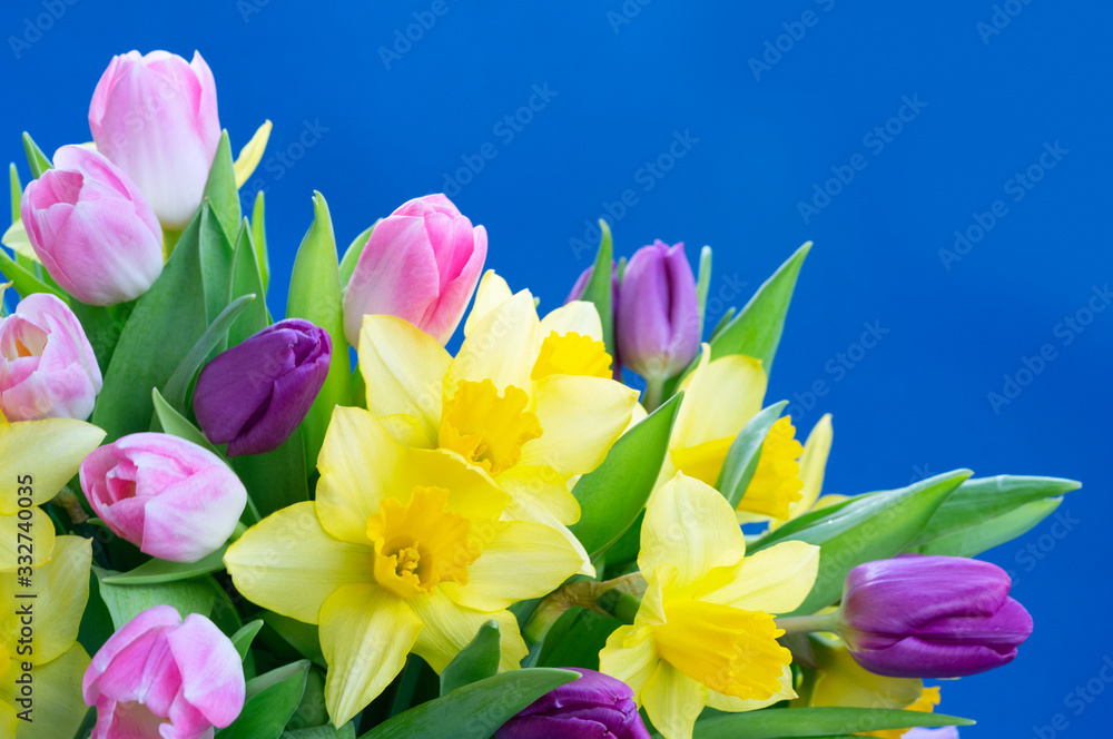 tulips and daffodils flowers tulips and daffodils flowers