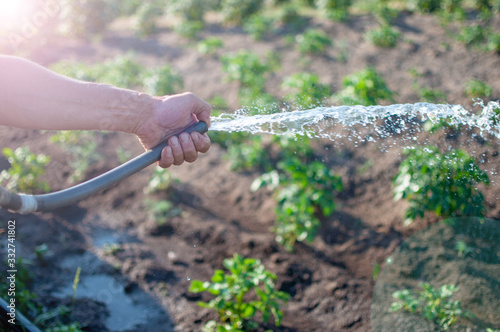 watering the garden with a hose