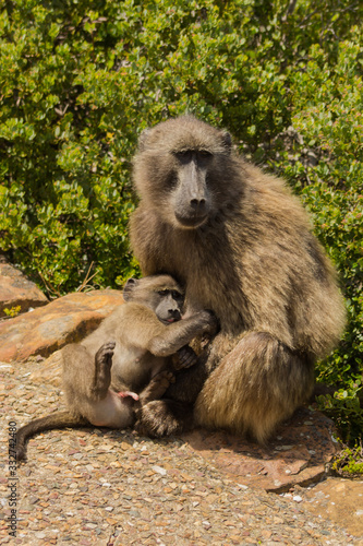 mother and baby © Aguiarte