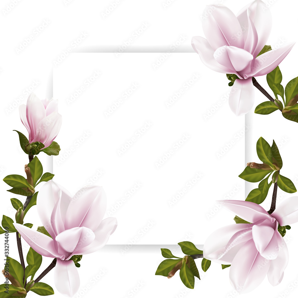 Beautiful background with Magnolia flowers and space for text. Vector illustration. EPS 10