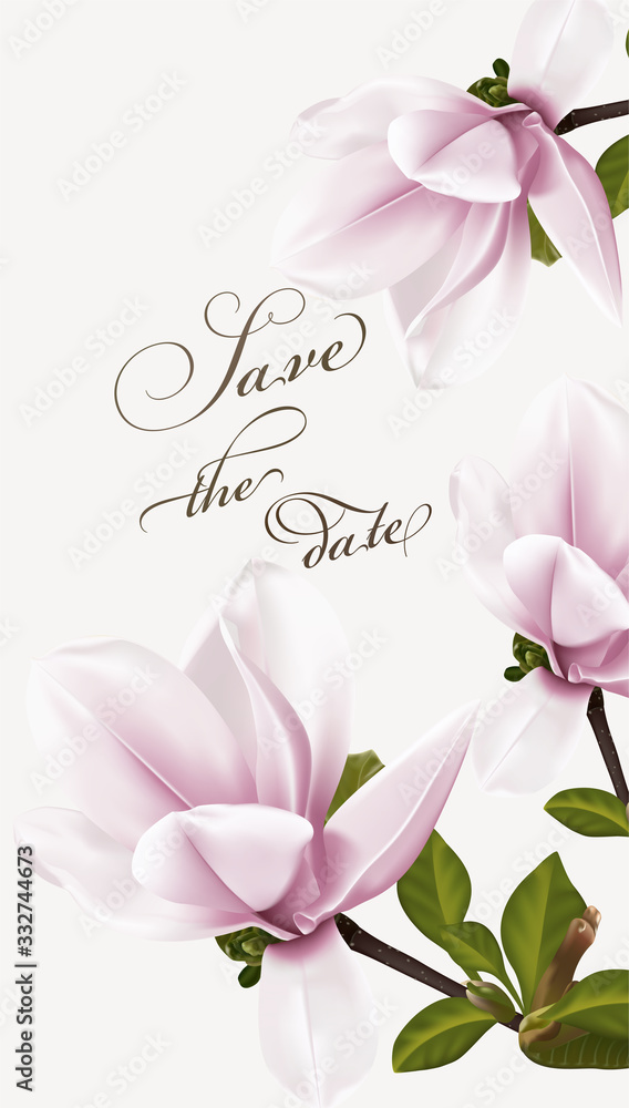 Wedding invitation with twig blooming Magnolia. Magnolia flowers, isolated on white. Vector illustration. Wedding invitation with twig blooming Magnolia. Magnolia flowers, isolated on white. Vector illustration.