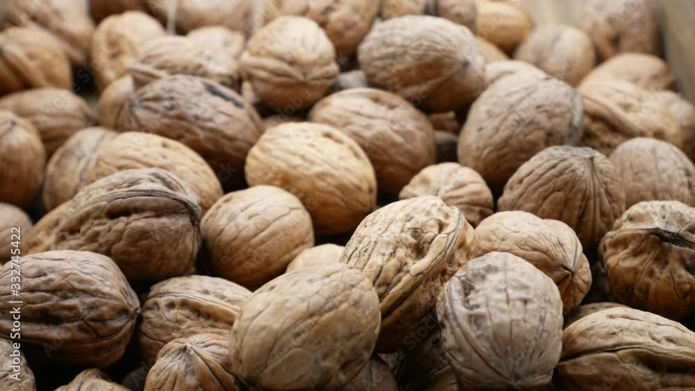 Walnuts falling into the basket, slow motion HD, march 2020 Walnuts falling into the basket, slow motion HD, march 2020