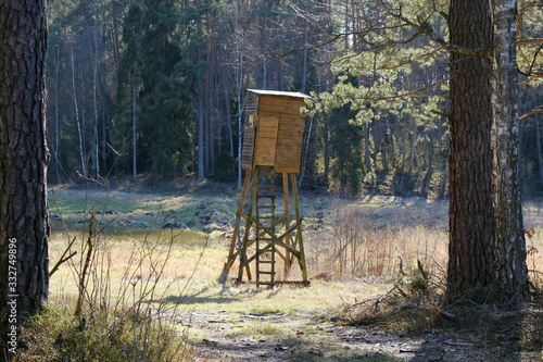Hunting pulpit on a meadow among trees in the forest, lit by the sun.