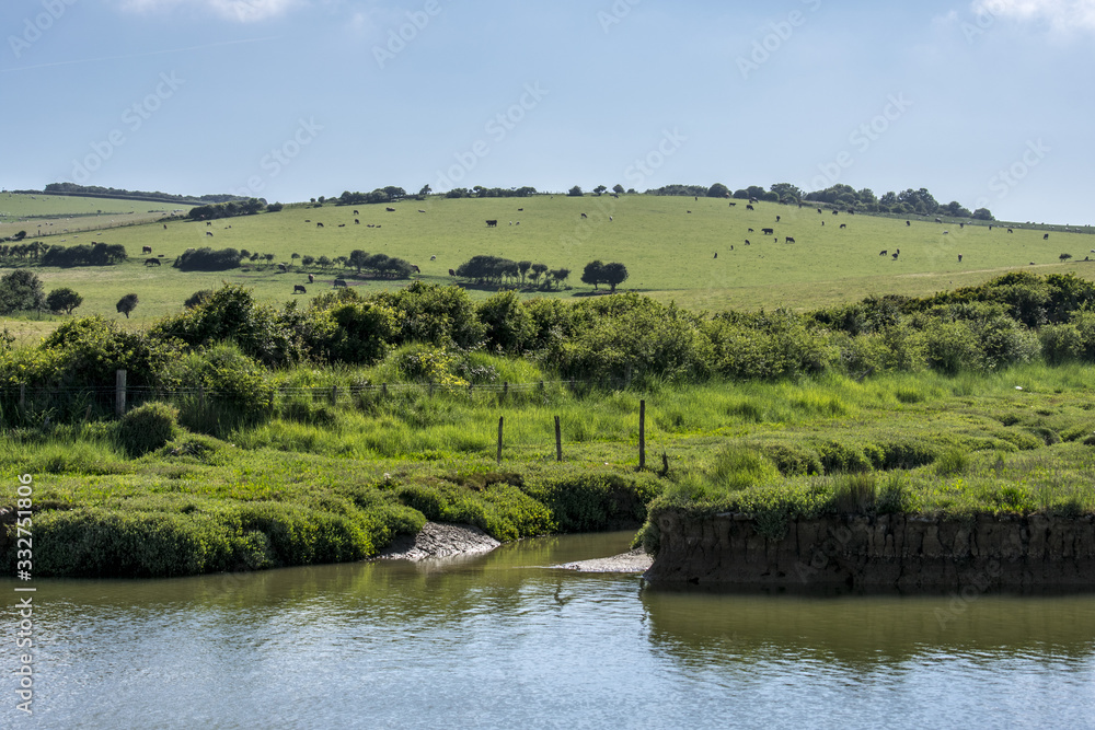 Fototapeta premium landscape with river