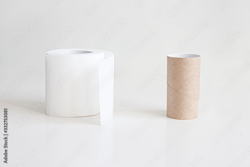 Roll of toilet paper and empty toilet roll Roll of toilet paper and empty toilet roll