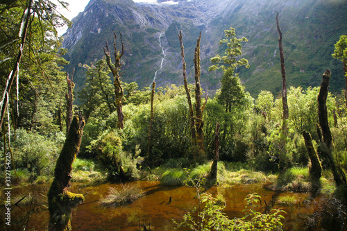 Deep valley in Fiordland National Park, Milford Track - New Zealand photo