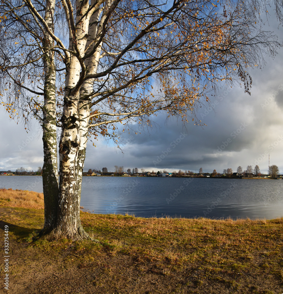 Lonely birch on the shore of a blue cold lake in autumn colors of sky and clouds