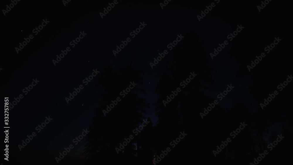Timelapse of stars moving in the night sky through the pines Timelapse of stars moving in the night sky through the pines