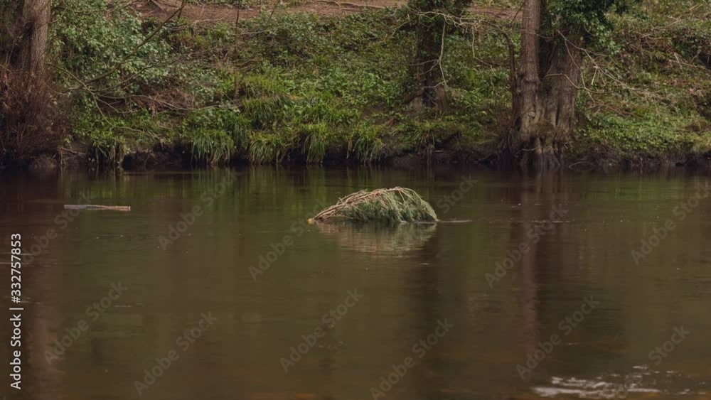 A Stick footing on a fast flowing river A Stick footing on a fast flowing river