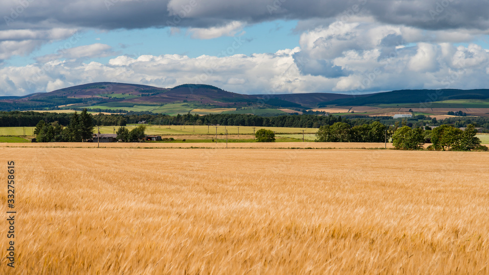Aberdeenshire Harvest