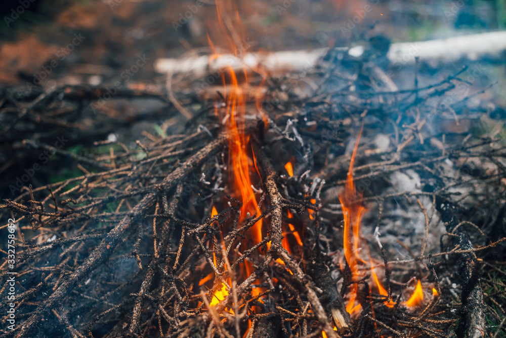 Burning branches and brushwood in fire close-up. Atmospheric warm background with orange flame of campfire and blue smoke. Beautiful full frame image of bonfire. Firewood burns in vivid flames. Burning branches and brushwood in fire close-up. Atmospheric warm background with orange flame of campfire and blue smoke. Beautiful full frame image of bonfire. Firewood burns in vivid flames.