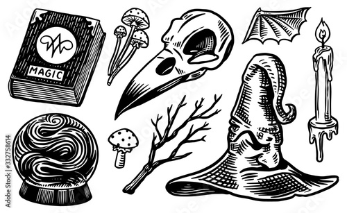 Mystical boho elements. Witchcraft astrological set. Esoteric alchemy religion occult sketch for tattoo or T-shirts. Spellbook, Witches Hat, Bird Skull, Magic Ball. Drawn Engraved vector illustration.