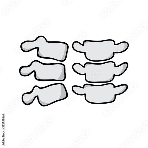 vertebrae doodle icon, vector illustration