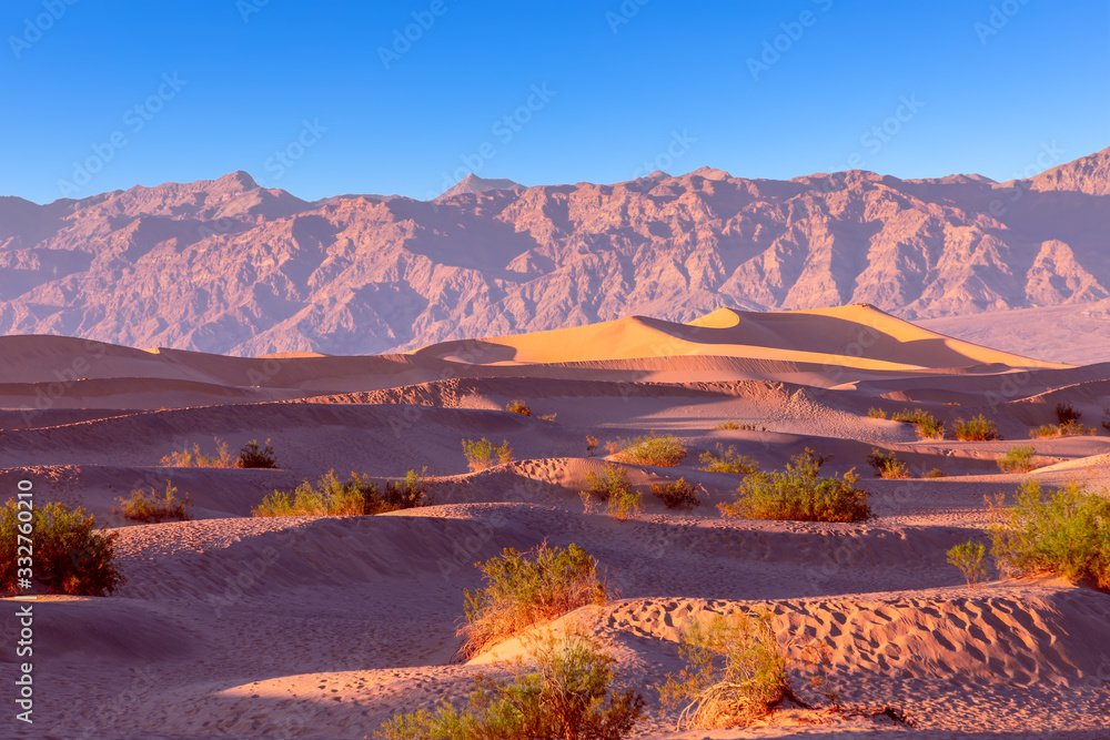 Landscape of sand dunes in Death Valley National Park during sunset. California. USA