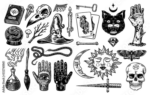 Mystical magic boho elements. Witchcraft astrological set. Esoteric alchemy occult sketch for tattoo. Palmistry and skull, the hand of a dead man. Drawn Engraved Game Cards and Black Cat.