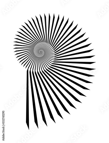 Abstract vector Archimedean spiral  shell symbol shape on a white background. Isolated spiral  template for design  hypnotic effect. Eps 10