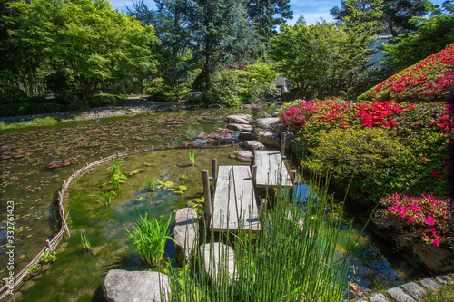 Pond with blossom hill at  Paris ( Albert-Kahn  garden)