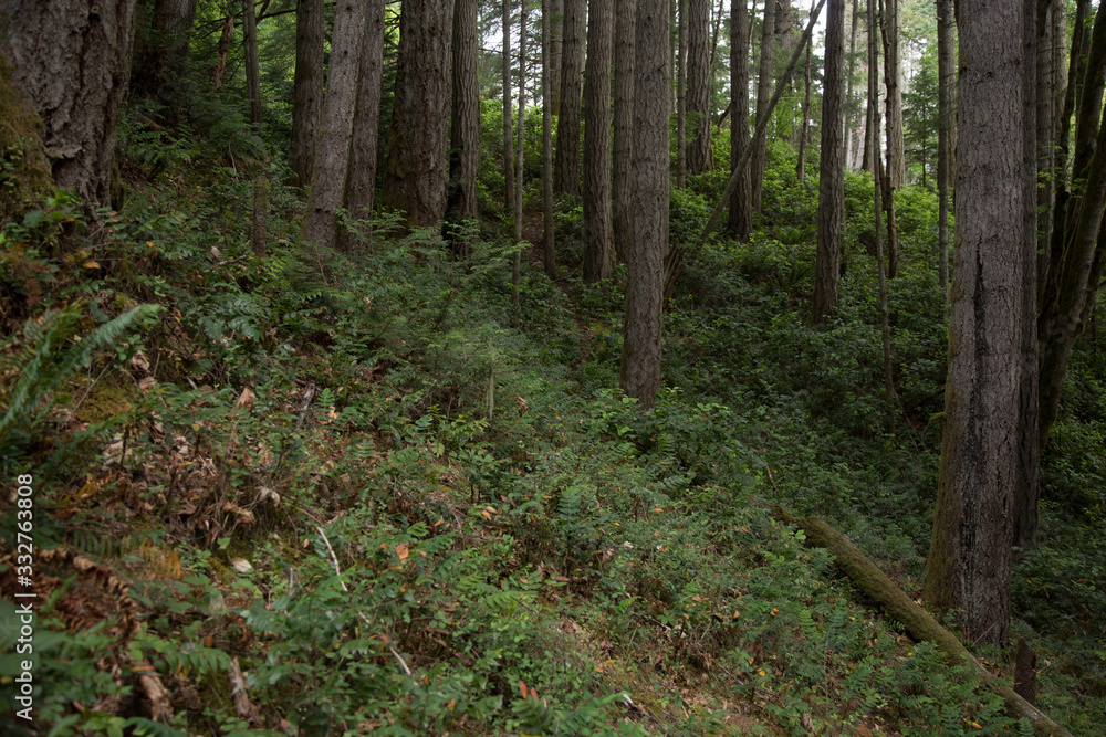 Obraz premium British Columbia