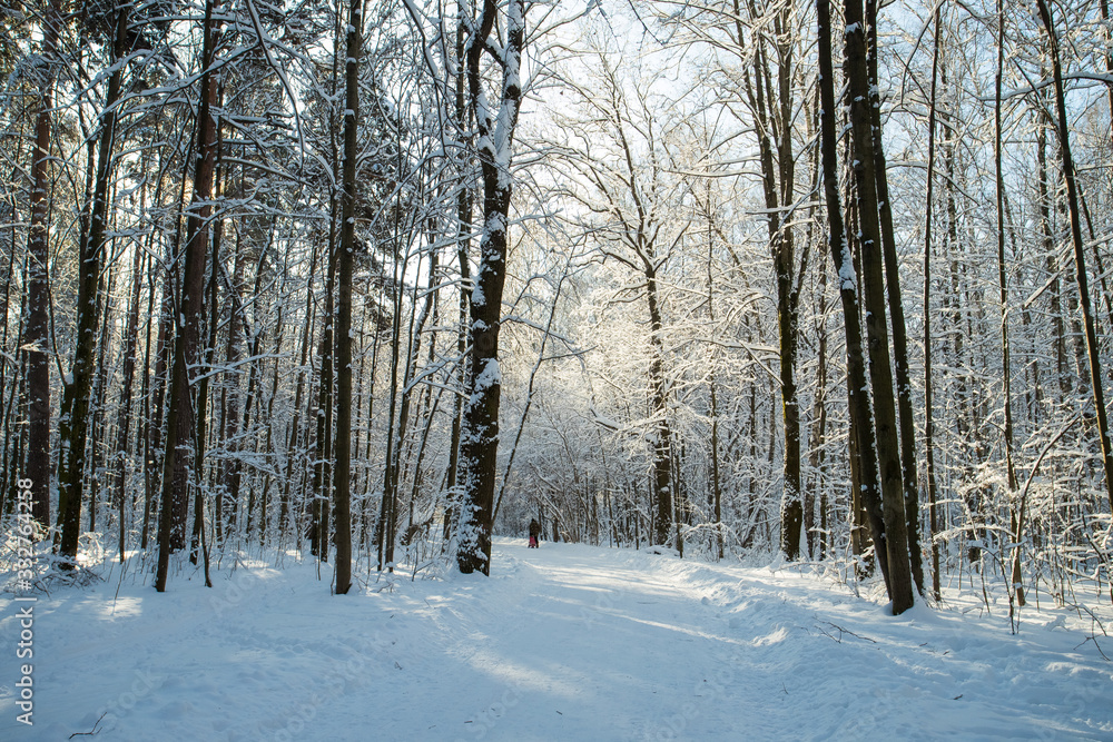 Winter Landscape With Walking Man On Road In Park. Winter Landscape With Walking Man On Road In Park.