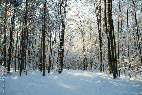 Winter Landscape With Walking Man On Road In Park.