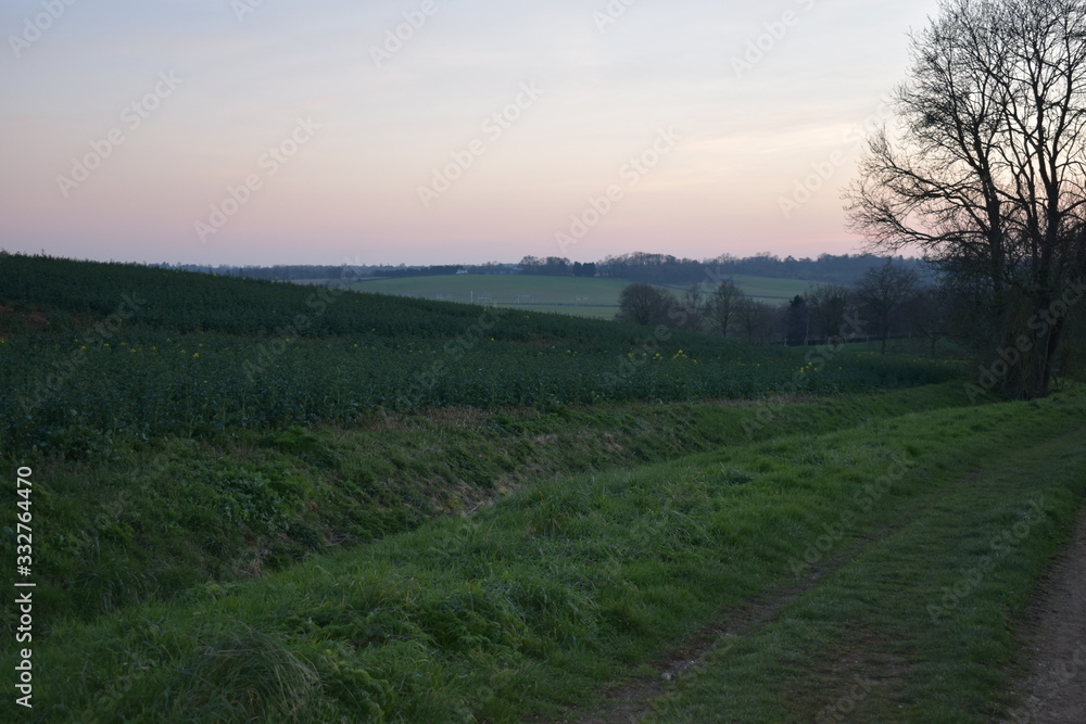 Fields Landscape