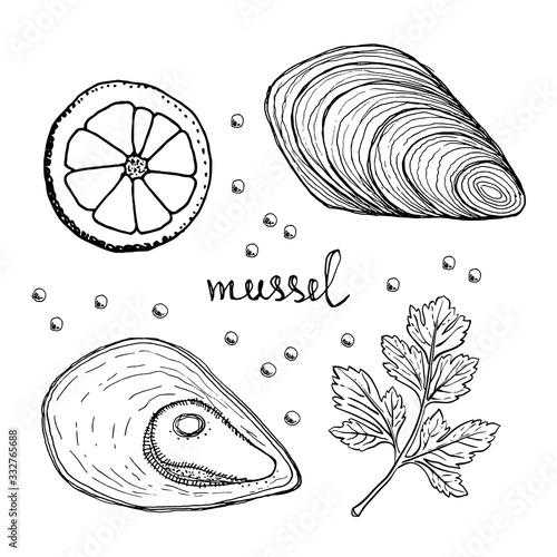 Seafood recipe ingredients with mussels. Black line sketch of seafood with herbs and vegetables isolated on white background. Hand drawn vector illustration