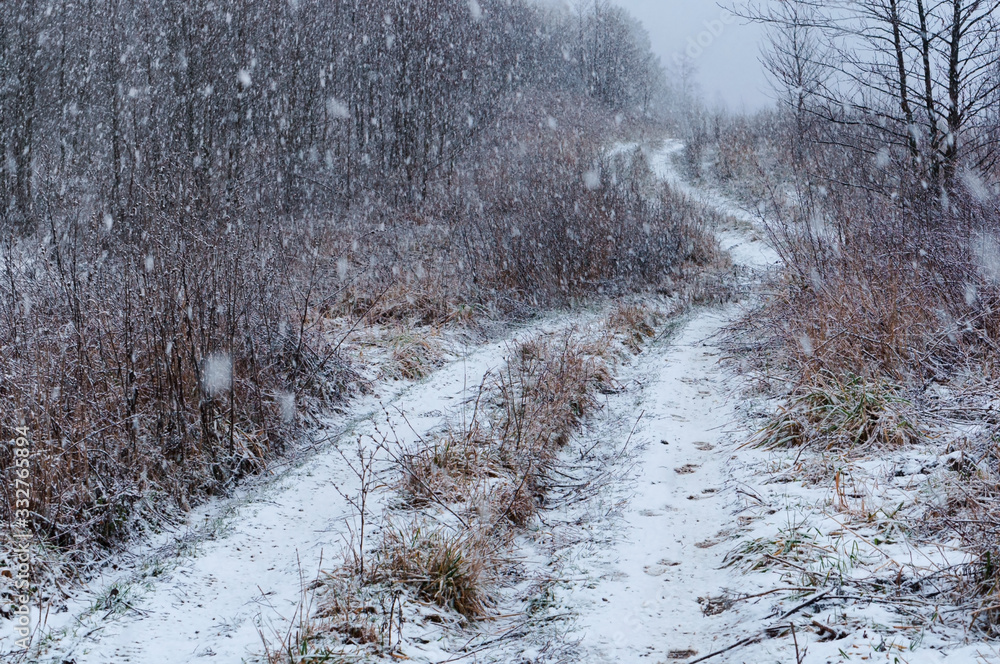 Precipitation in the form of snow. In the forest it is snowing. Precipitation in the form of snow. In the forest it is snowing.