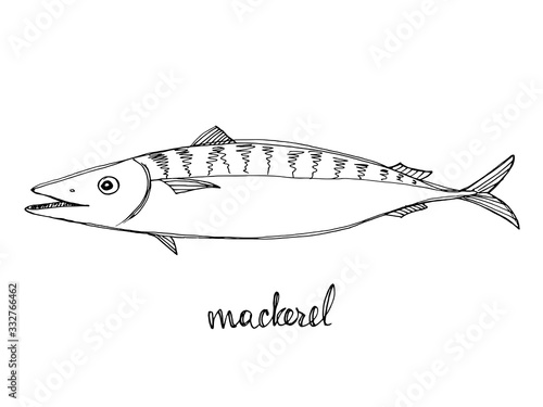 Mackerel. Seafood design elements. Seafood menu, poster, label etc. Hand drawn ink sketch illustration. Vector illustration