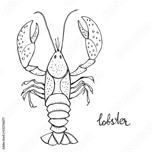 Lobster. Seafood design elements. Seafood menu, poster, label etc. Hand drawn ink sketch illustration. Vector illustration