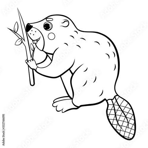 Cute cartoon wild beaver with a tree branch vector coloring page outline. Coloring book of forest animals for kids. Isolated on white background