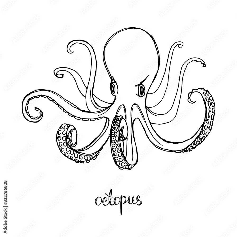 Octopus. Seafood design elements. Seafood menu, poster, label etc. Hand drawn ink sketch illustration. Vector illustration Octopus. Seafood design elements. Seafood menu, poster, label etc. Hand drawn ink sketch illustration. Vector illustration