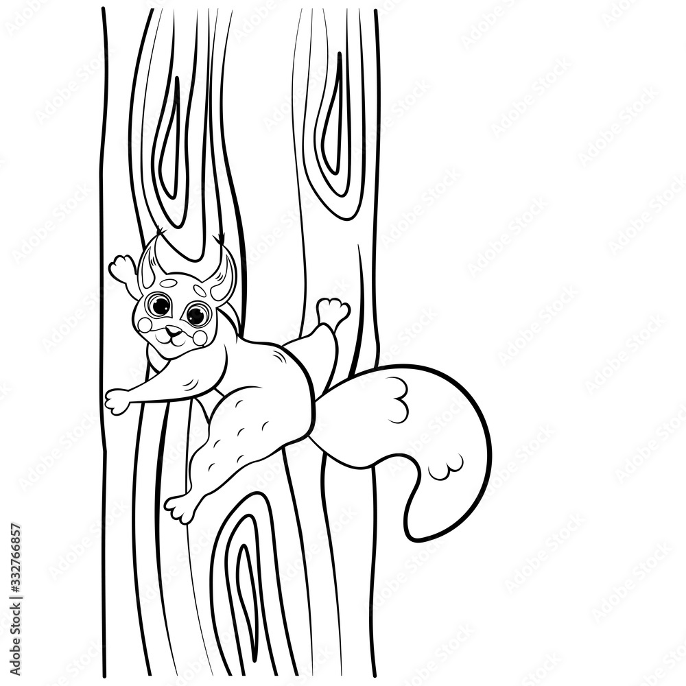 Cute cartoon squirrel climbing the tree vector coloring page outline. Coloring book of forest