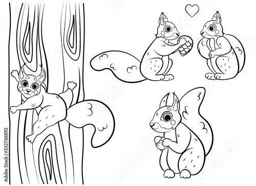 Cute cartoon squirrel vector coloring page outline. Squirrel with hazelnut, two squirrels in love, squirrel climbing the tree. Coloring book of forest animals for kids. Isolated on white background