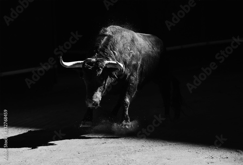 toro español photo