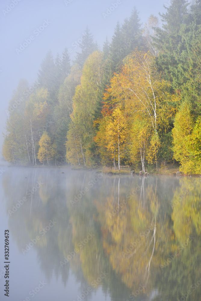 Autumn landscape in the mountains with trees reflecting in the water at St. Ana's lake, Romania