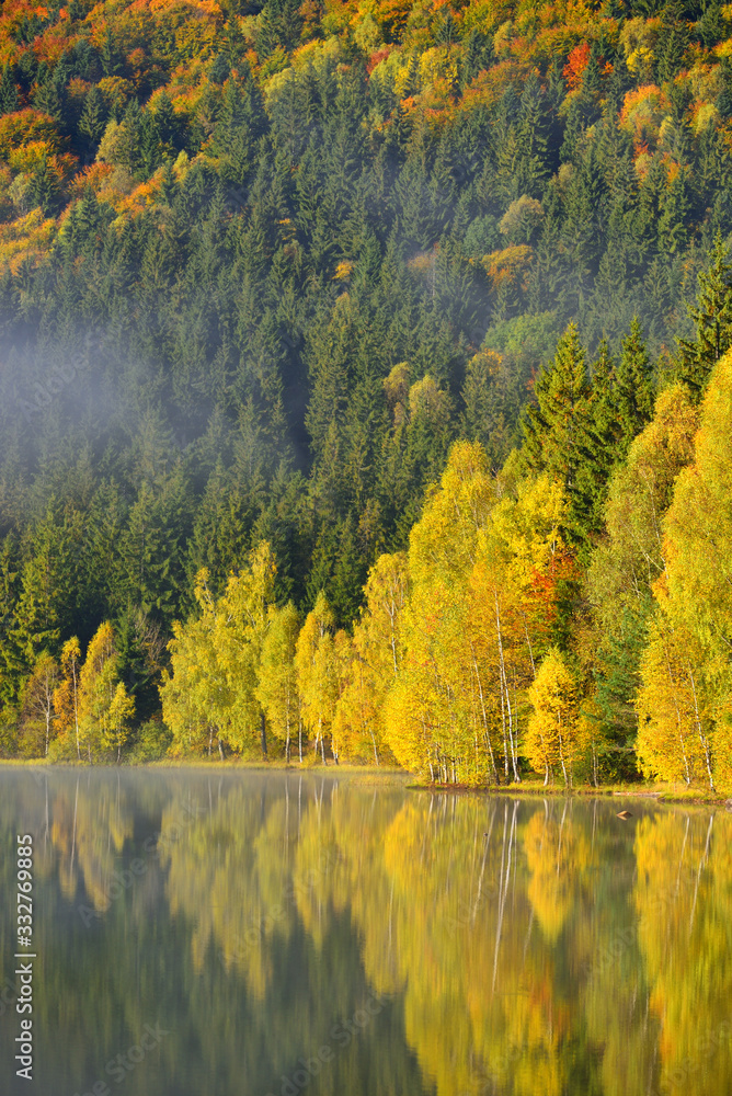 Autumn landscape in the mountains with trees reflecting in the water at St. Ana's lake, Romania