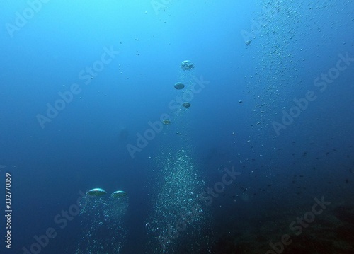 Bubble in the Blue Sea Underwater Ambiance