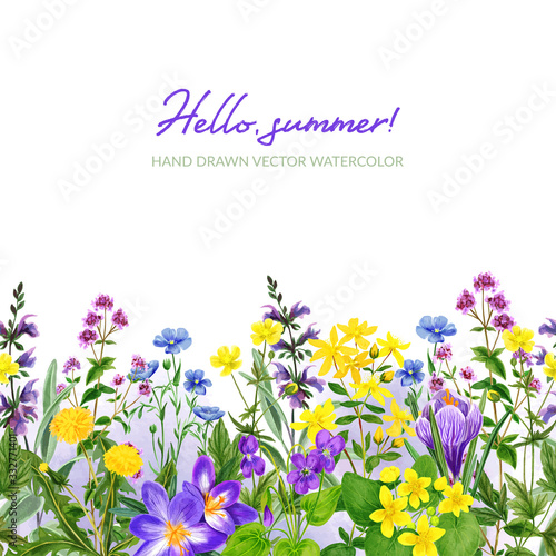 Watercolor seamless border, field wild flowers and herbs