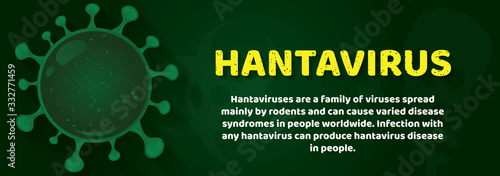 Hantavirus pulmonary syndrome (HPS) is a rare but deadly viral infection. Vector illustration of the new Chinese Hanta virus that is spread by mice and rats. It is spreading by their urine and salvia  photo