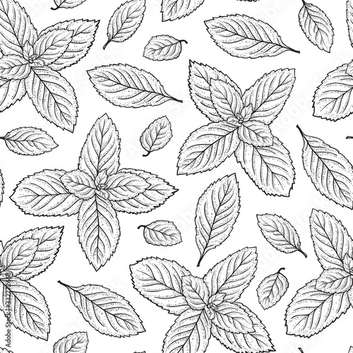 Mint Leaf Vector Seamless Pattern. Hand Drawn Peppermint Green Tea. Fresh Mint leaves Background. Medicinal plants or Spicy Herbs Dot work illustration