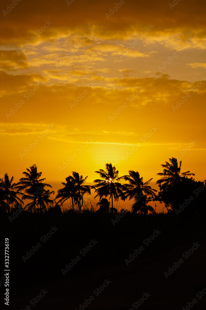 Sunset with trees (Vertical)
