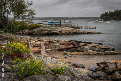 Shoreline and Dock in Maine Harbor