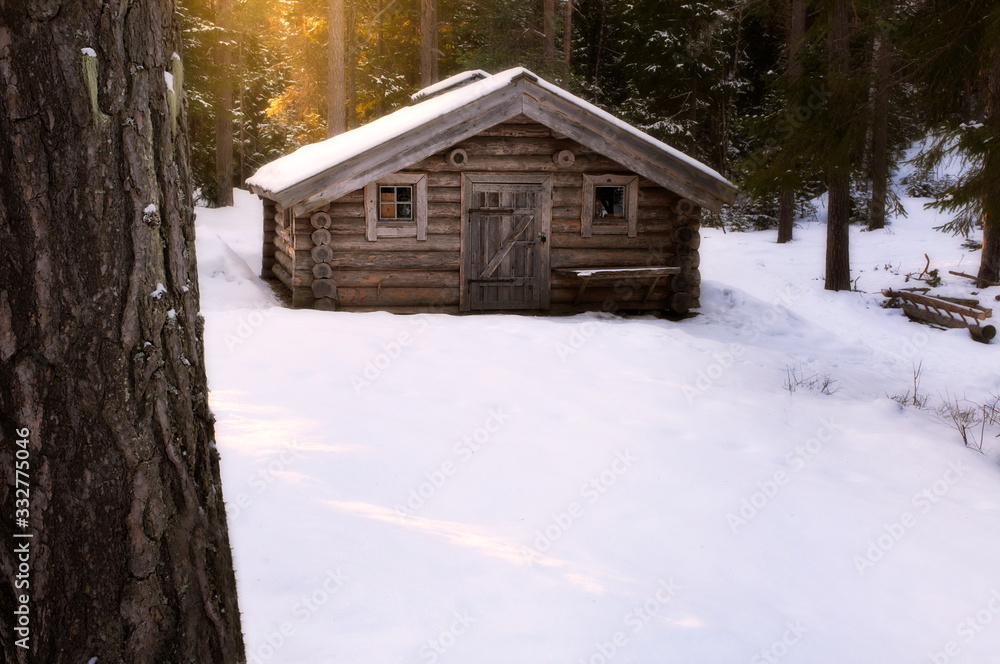 Small wooden cabin with snow on the roof and ground. Forest and sun in the background and a pine in the foreground