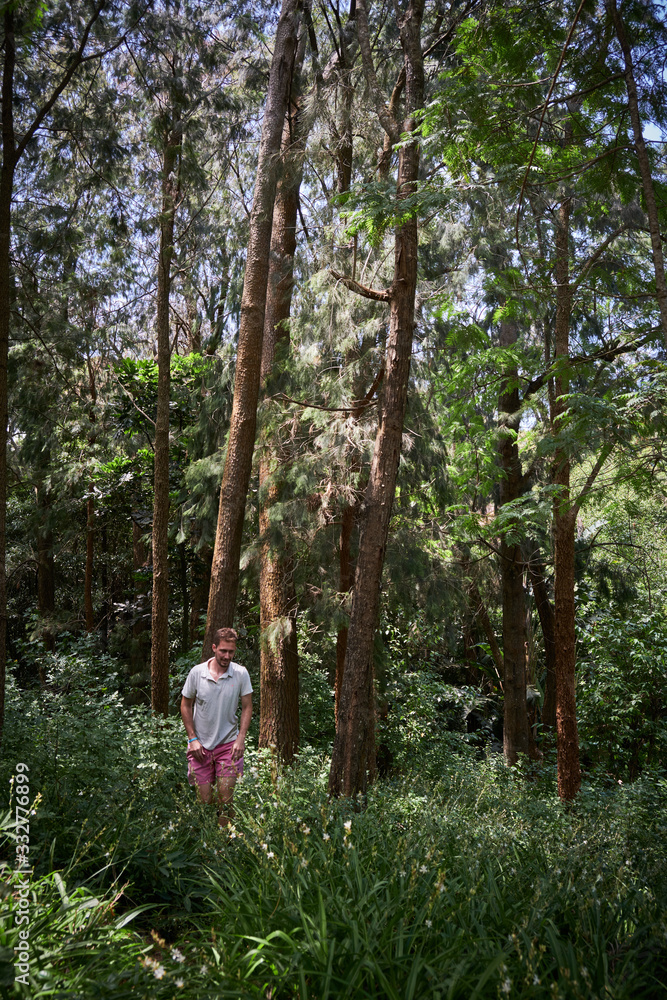 Caucasian men walking and exploring a trek trail in a forest Caucasian men walking and exploring a trek trail in a forest